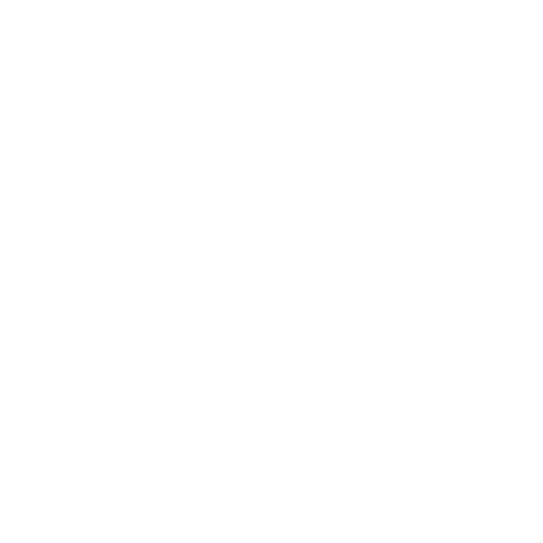 Logoslider BORG